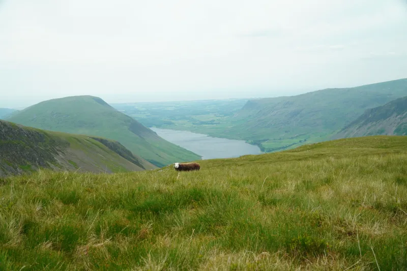 Off the Beaten Track and Into the Best Legs of Your Life: The Fell Running Secret Britain's Been Hiding