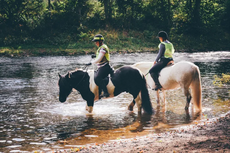 Giddy Up, Glutes: The Surprising Leg Day Hiding Inside Britain's Pony Trekking Holidays